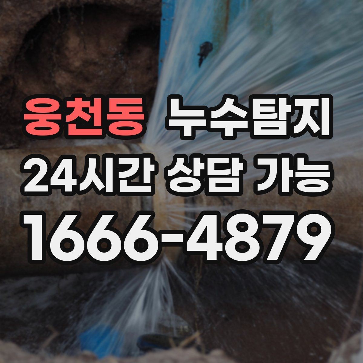 웅천동 누수탐지 빠른 방문으로 막은 2차 피해