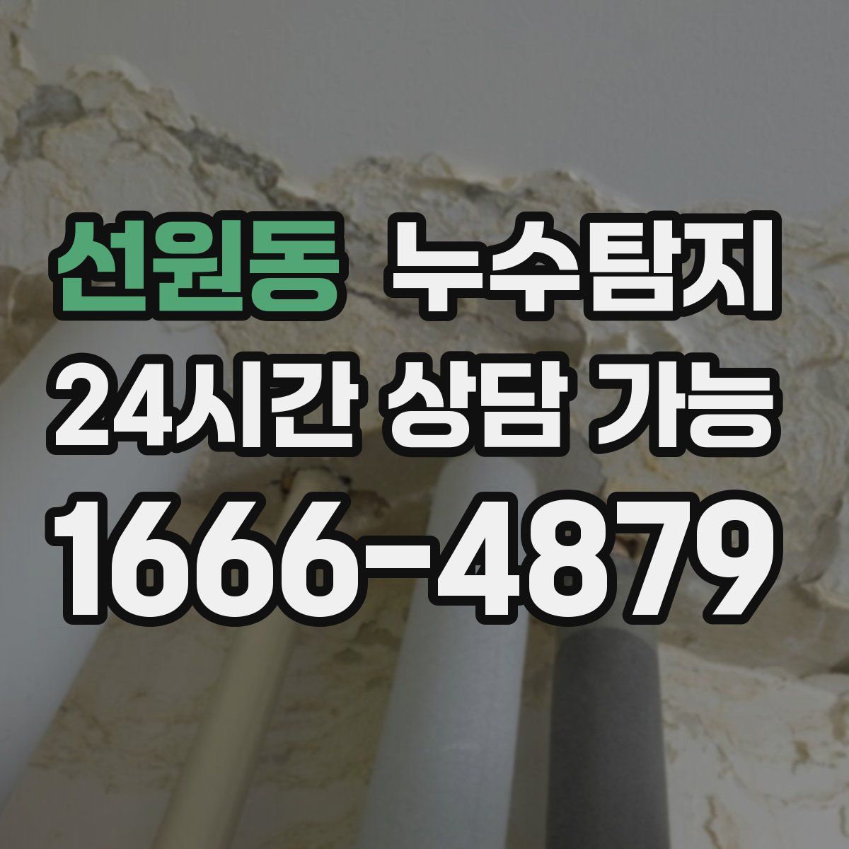 선원동 누수탐지