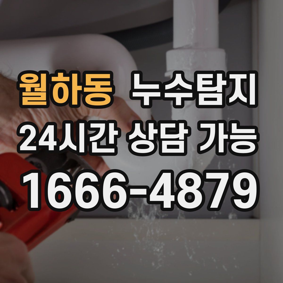 월하동 누수탐지