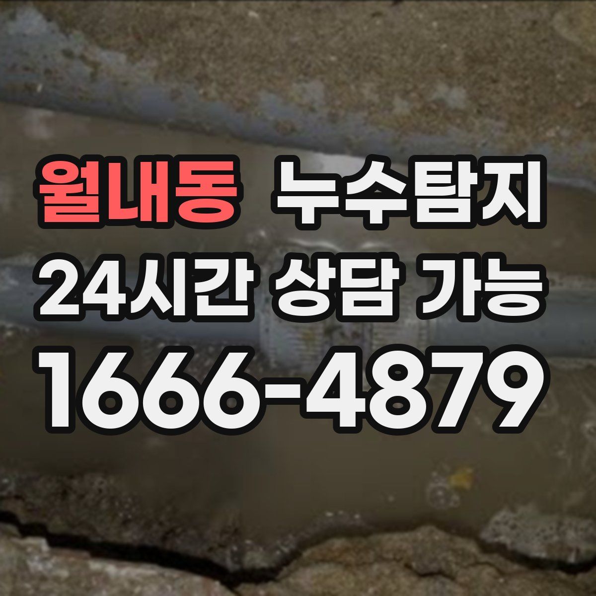 월내동 누수탐지