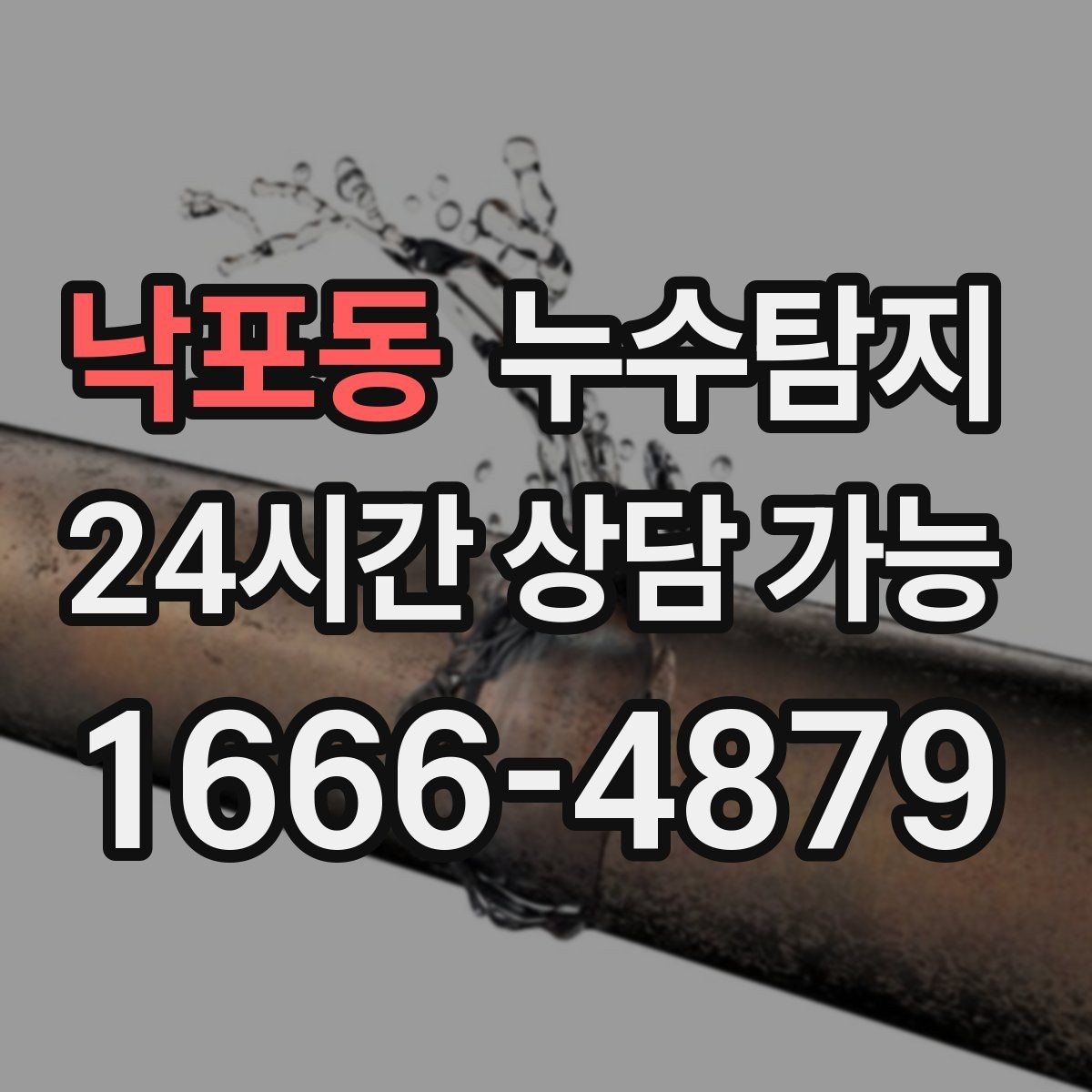 낙포동 누수탐지 곰팡이 악취 원인 진단