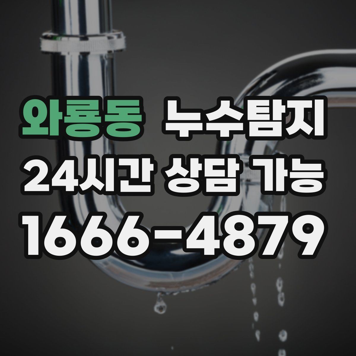 와룡동 누수탐지 촬영 데이터로 확인한 변화