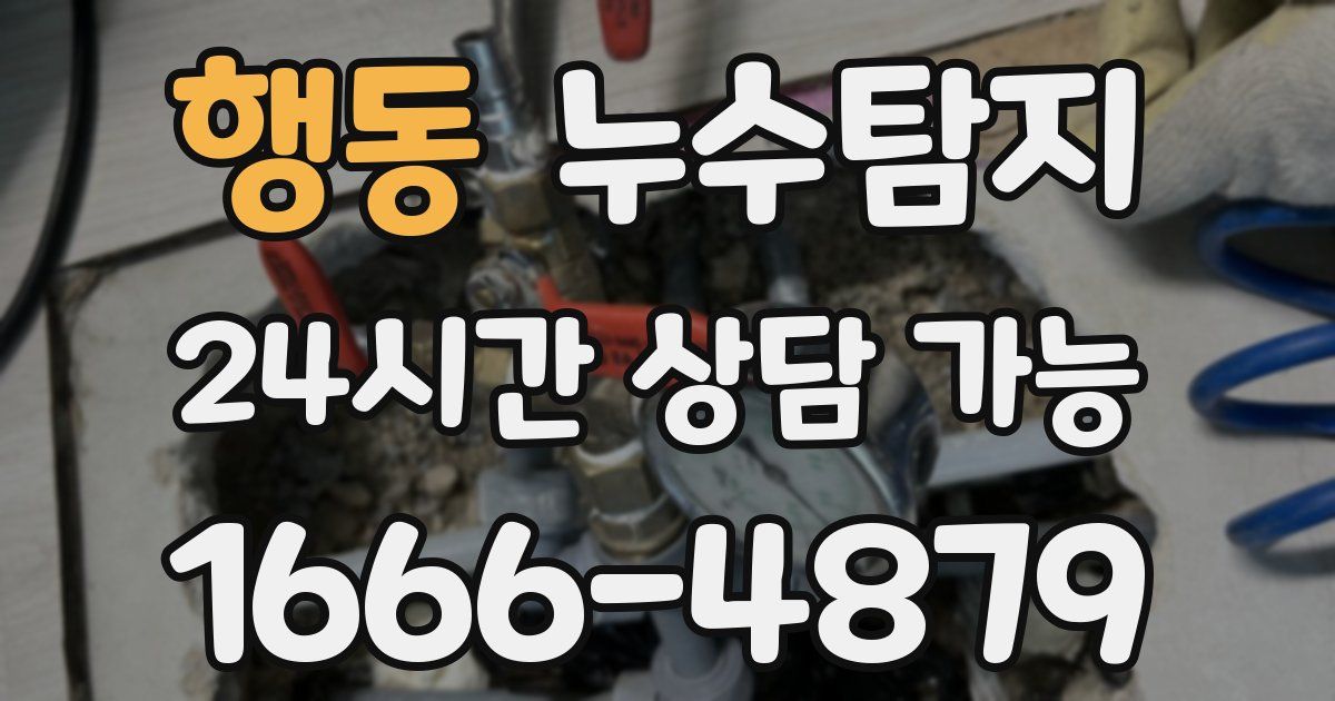 행동 누수