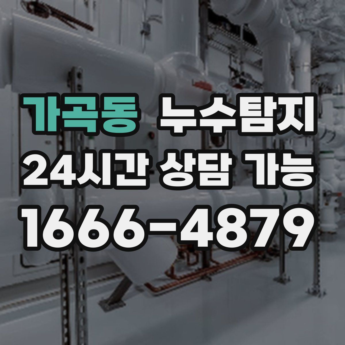 가곡동 누수탐지