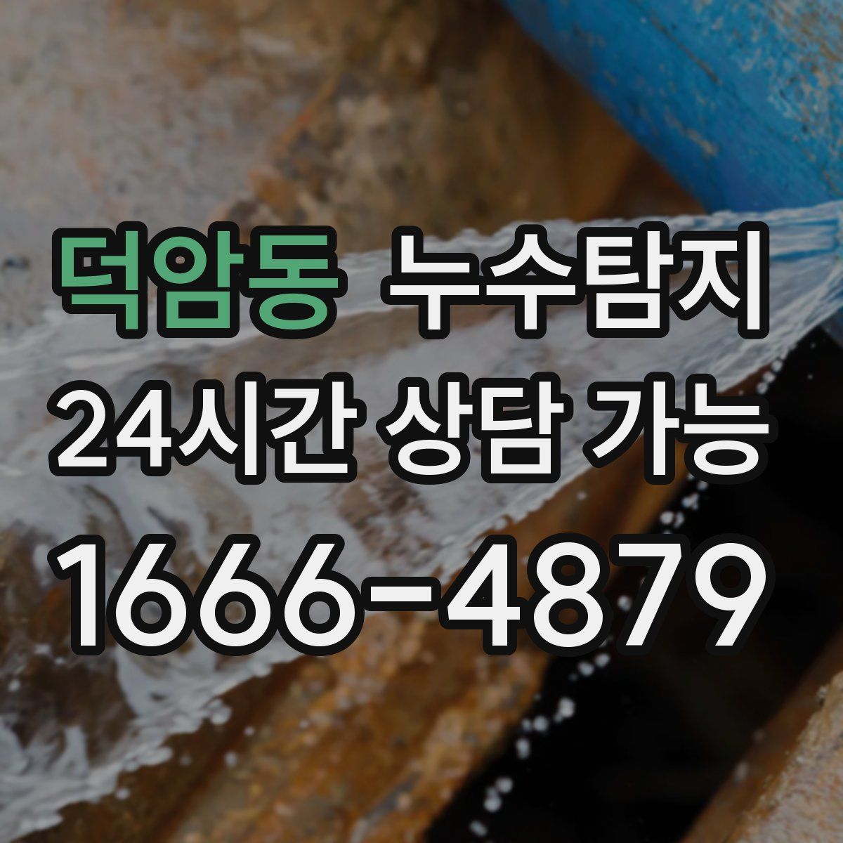 덕암동 누수탐지