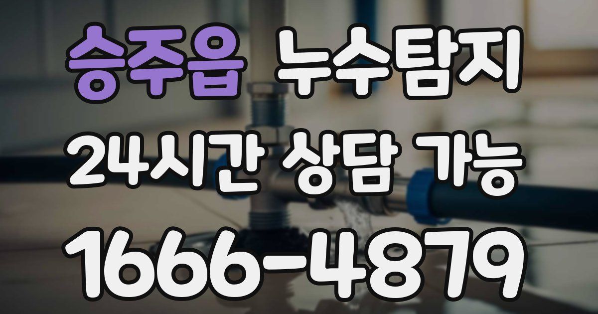 승주읍 누수