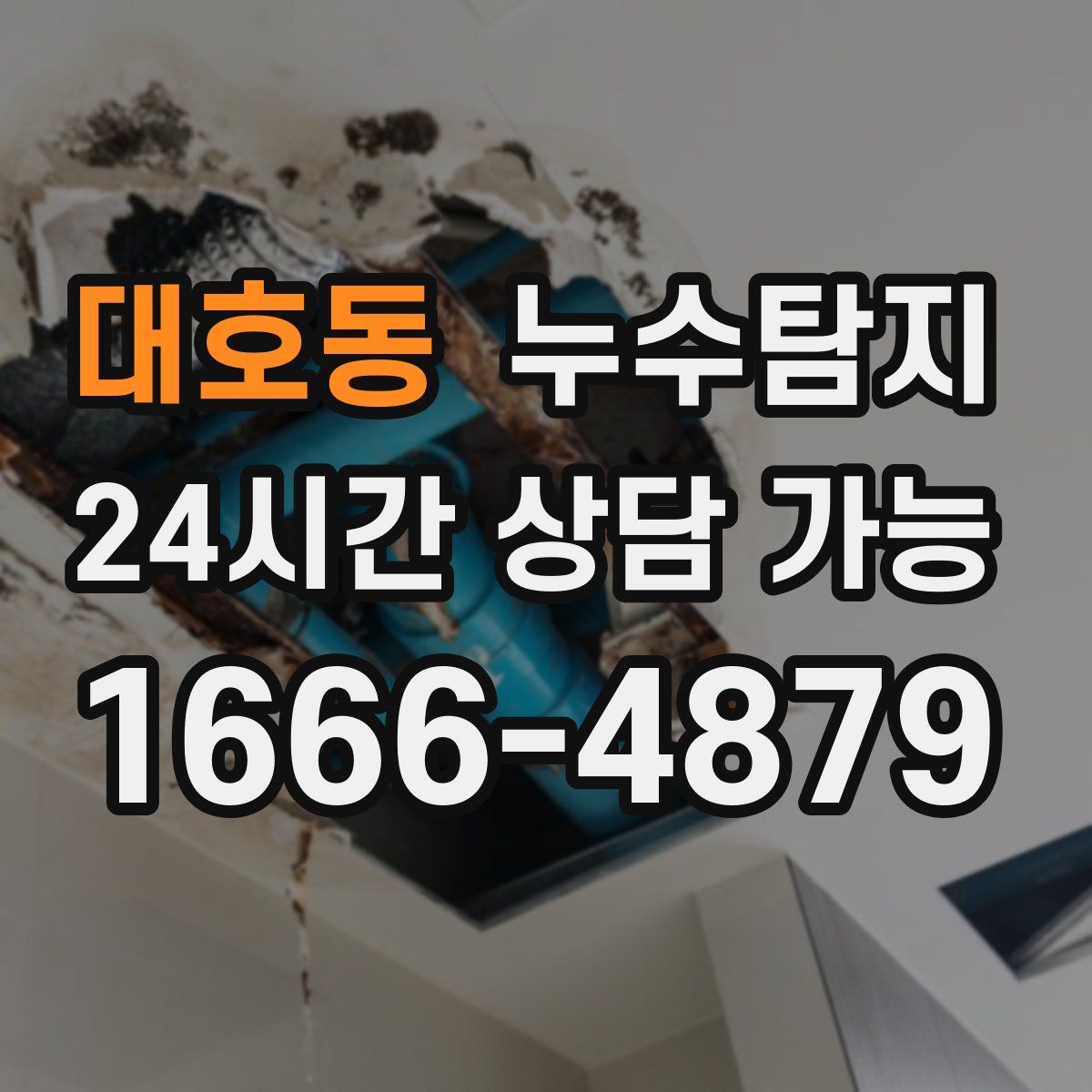 대호동 누수탐지