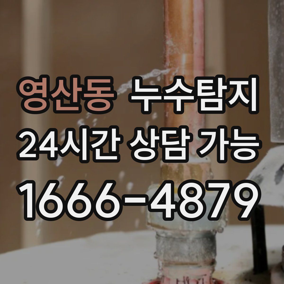 영산동 누수탐지