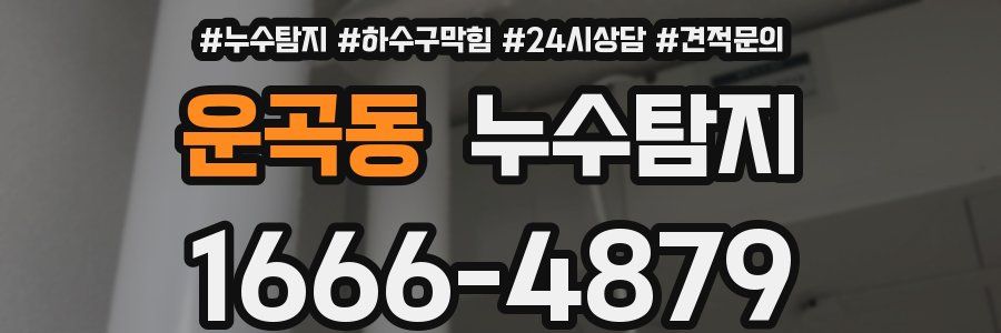 누수탐지