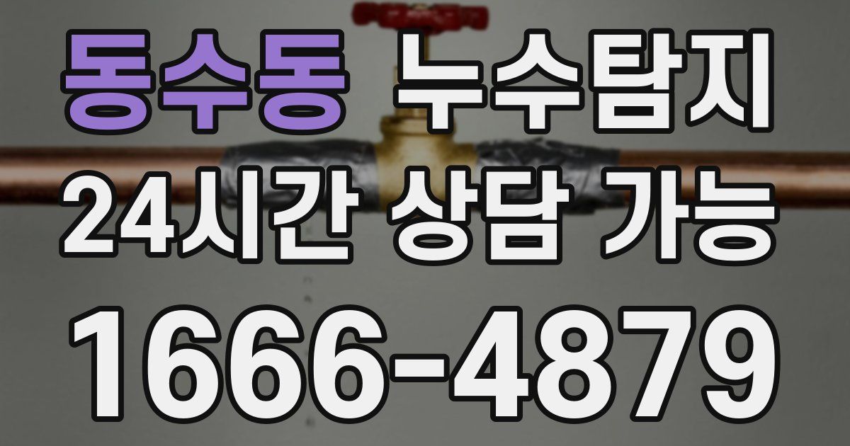 동수동 누수