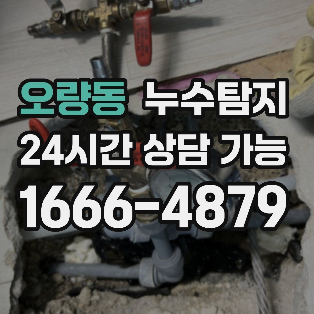 오량동 누수탐지 전문가와 함께한 현장 진단 이야기