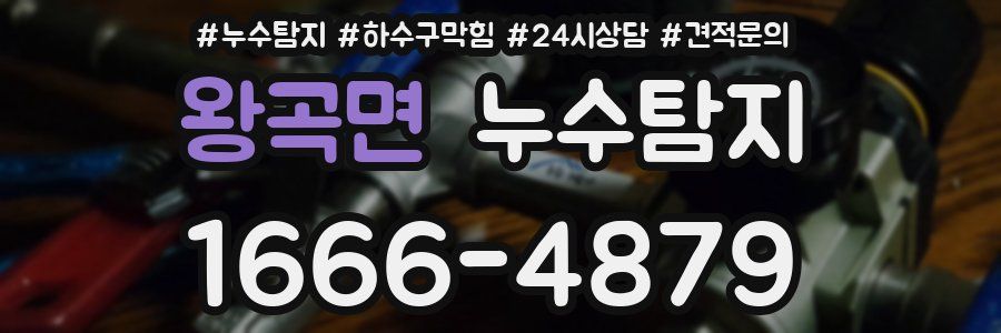 누수탐지