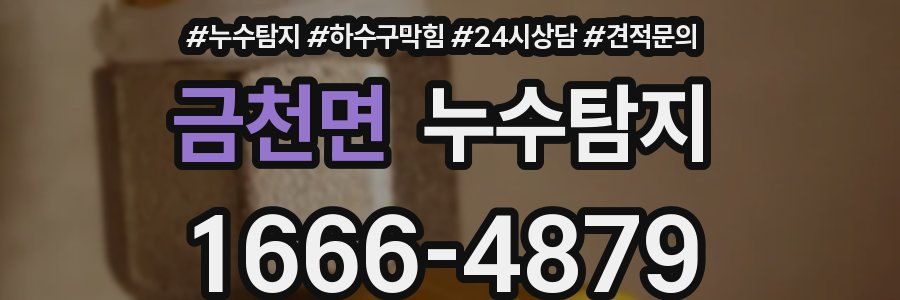 누수탐지
