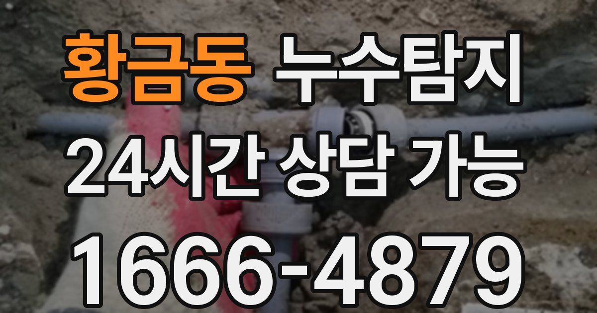 황금동 누수