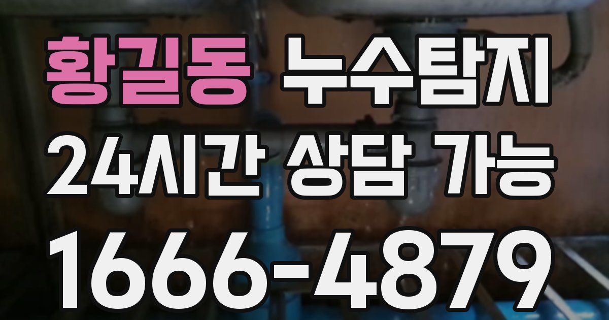 황길동 누수