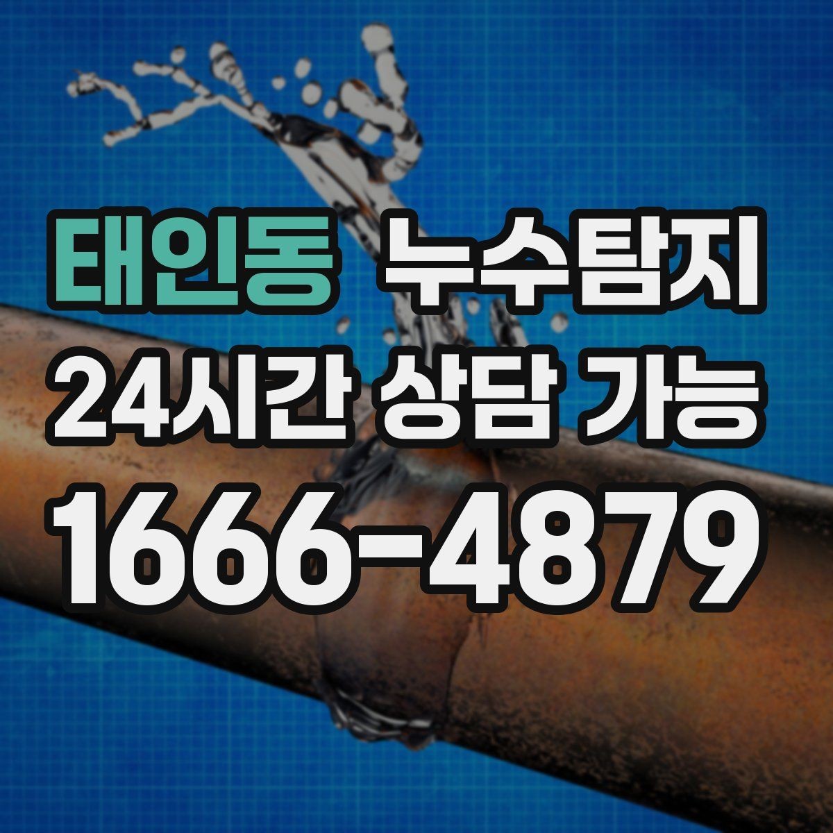 태인동 누수탐지 옥상 지붕 누수 점검