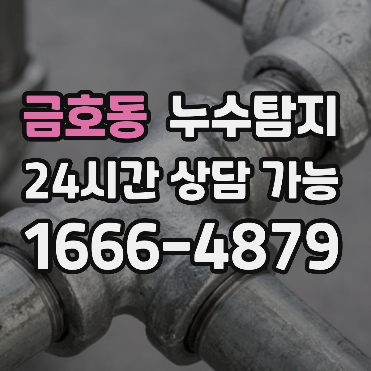 금호동 누수탐지 욕실 실리콘 노화 점검 에피소드