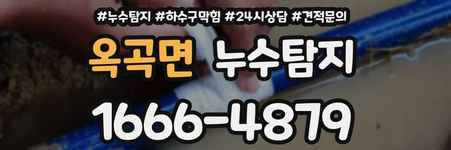 누수탐지