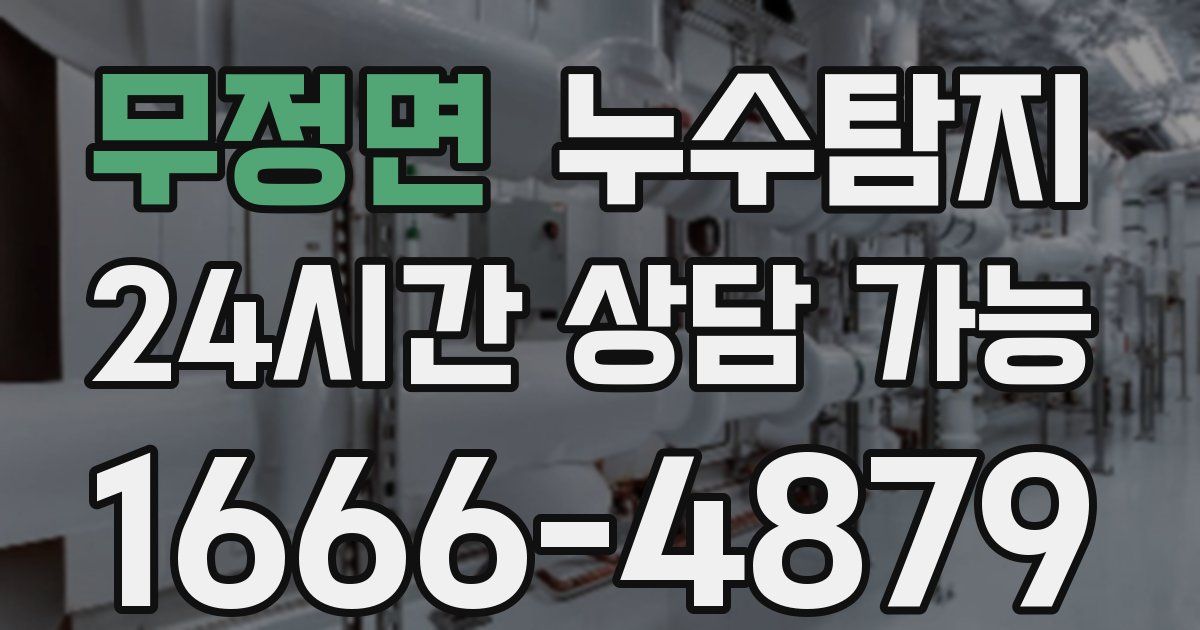 무정면 누수