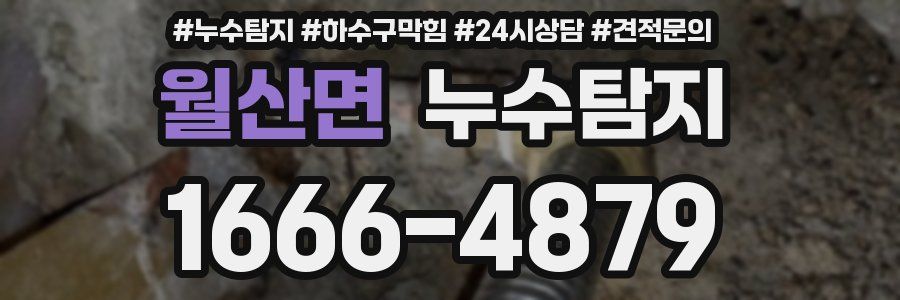 누수탐지