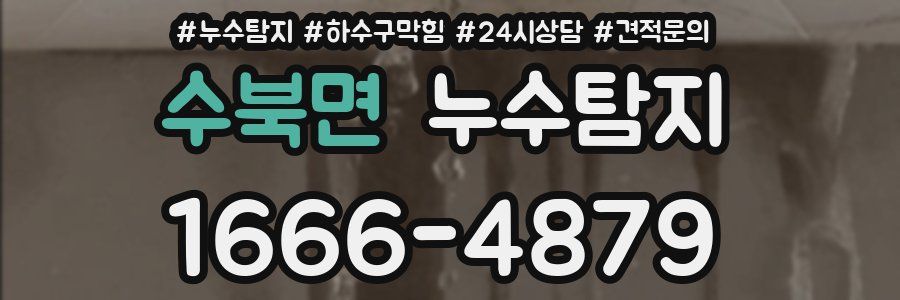 누수탐지