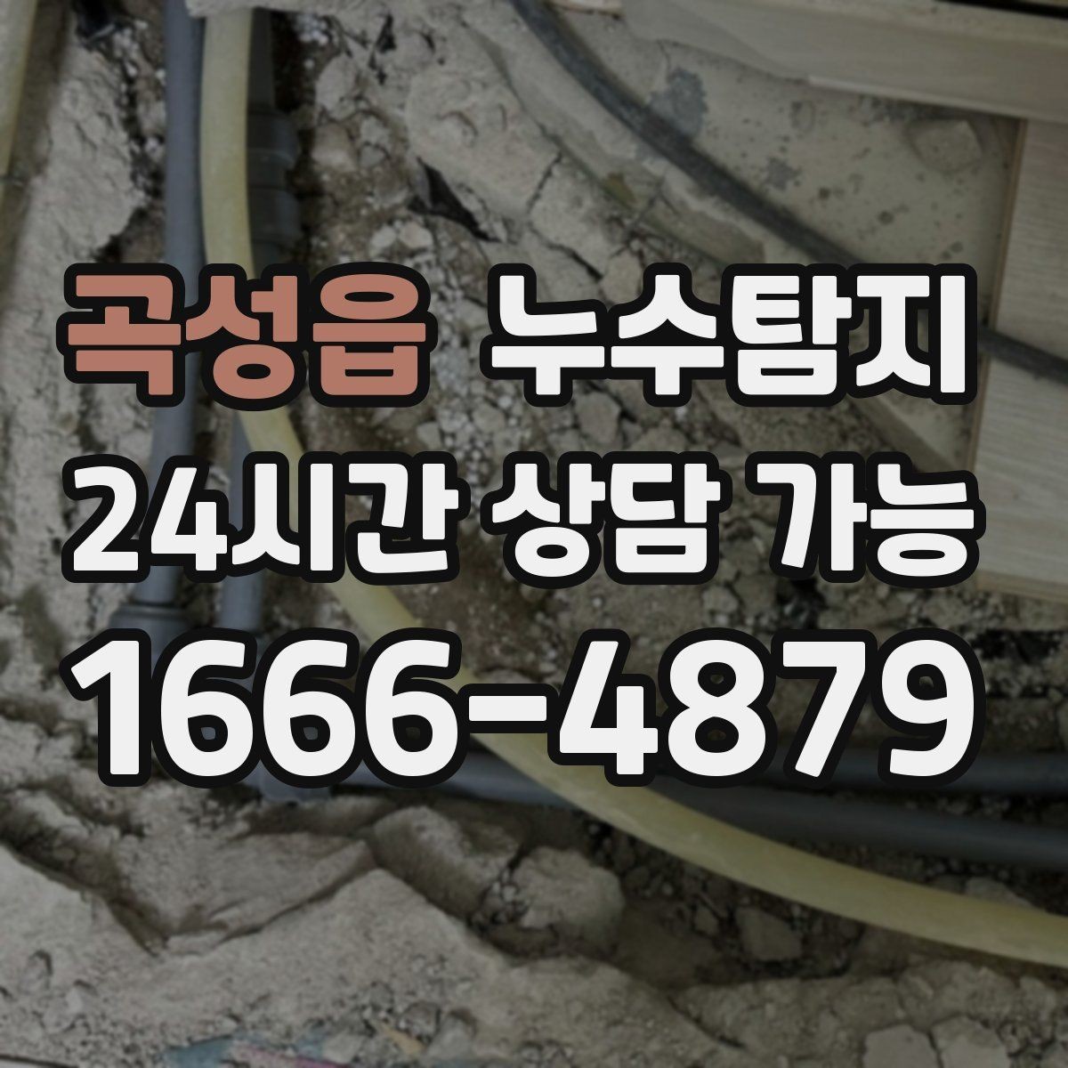 곡성읍 누수탐지 공실 관리 정기 점검 운영기