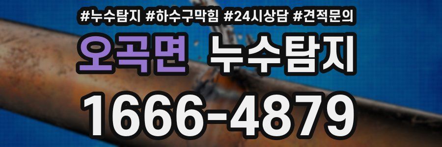 누수탐지