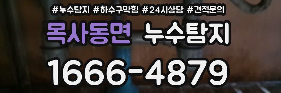 누수탐지