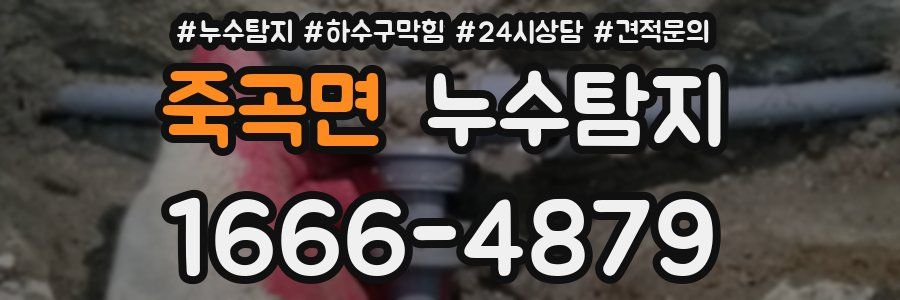 누수탐지