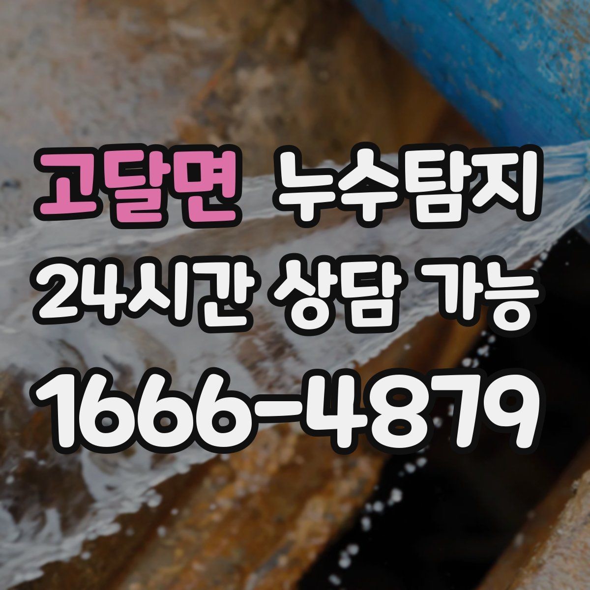 고달면 누수탐지 이사 전 하자 사전 점검