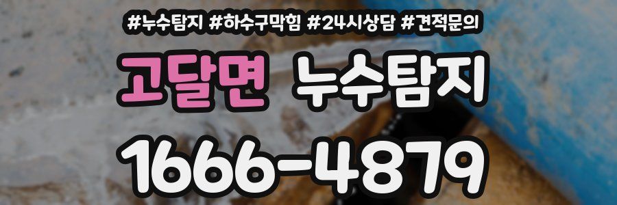 누수탐지