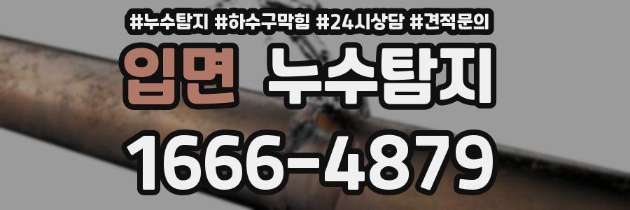 누수탐지