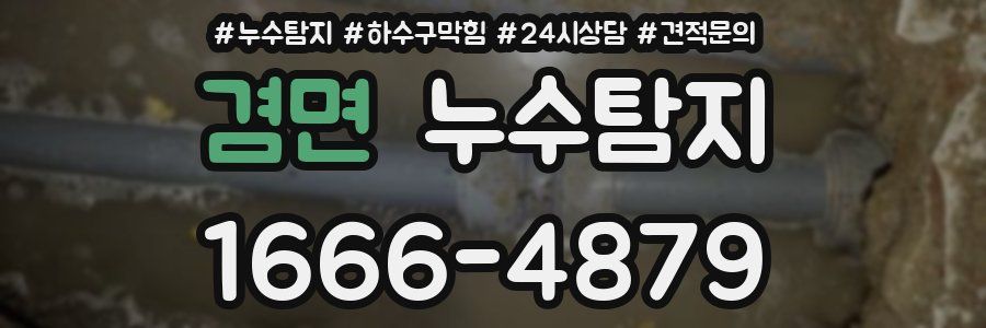 누수탐지
