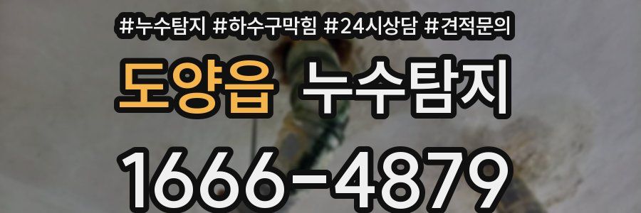 누수탐지