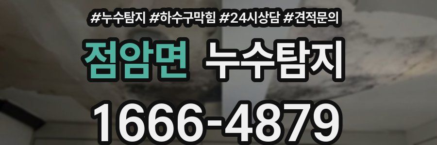 누수탐지