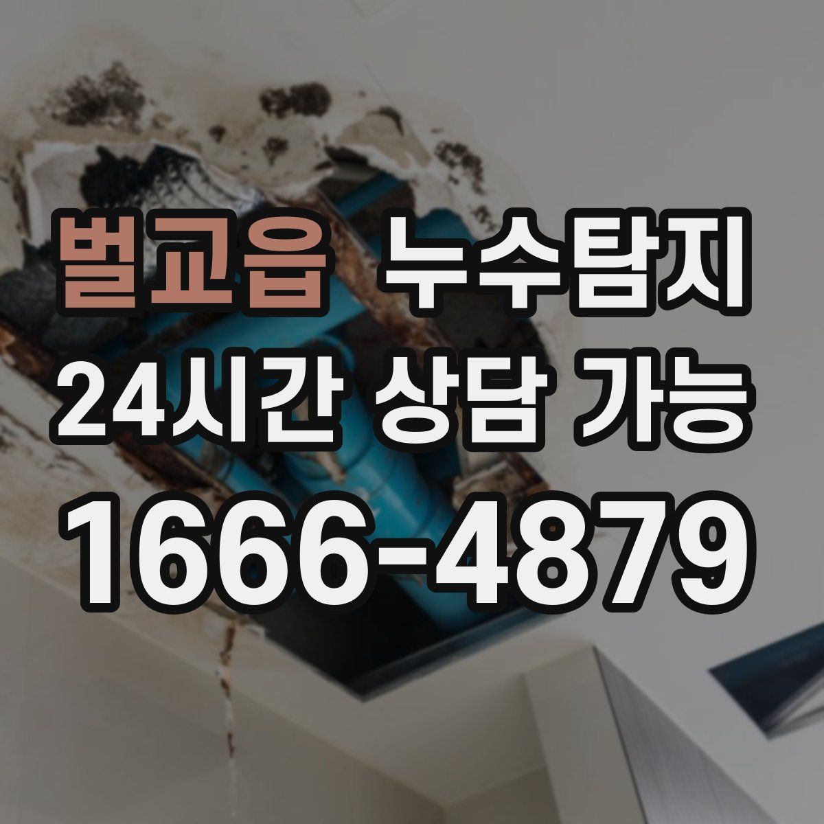벌교읍 누수탐지