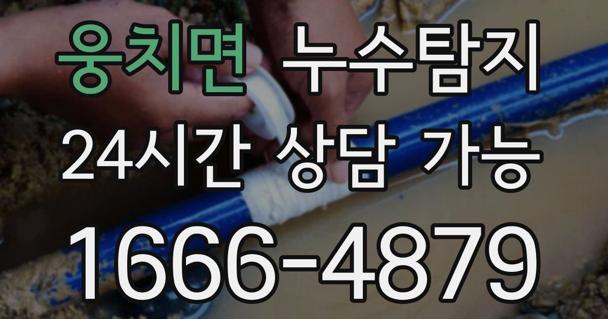 웅치면 누수