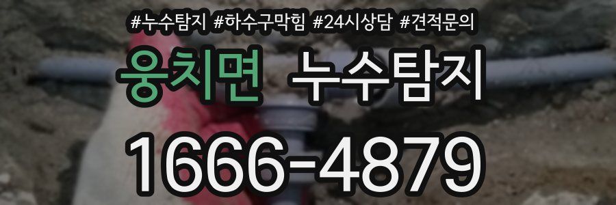 누수탐지