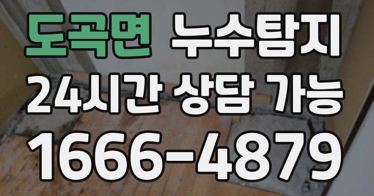 도곡면 누수