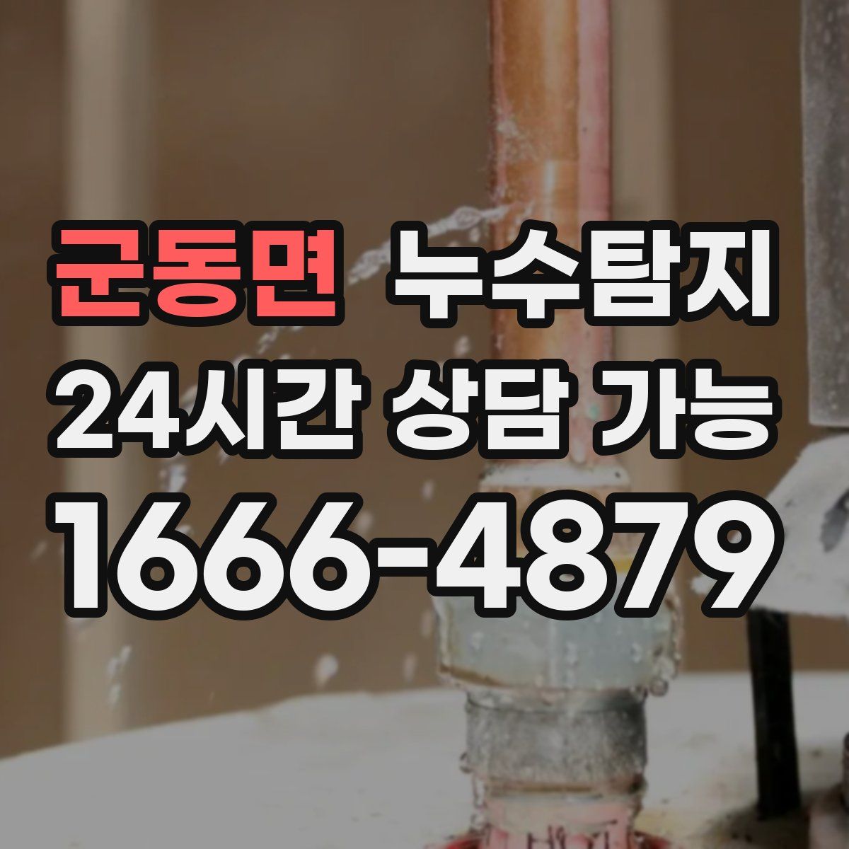 군동면 누수탐지