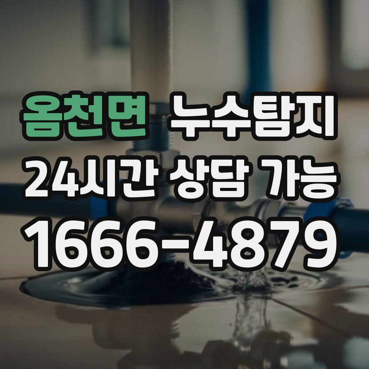 옴천면 누수탐지