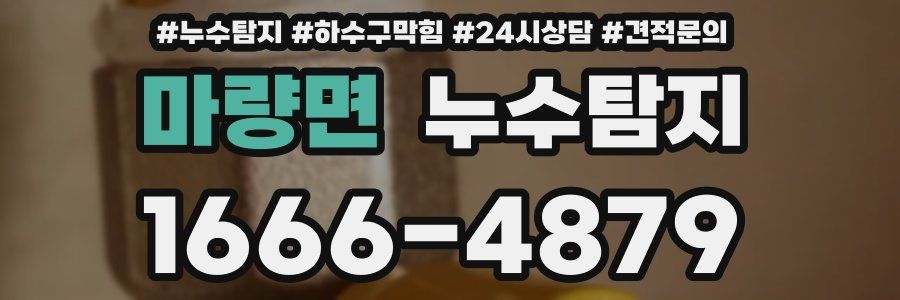 누수탐지