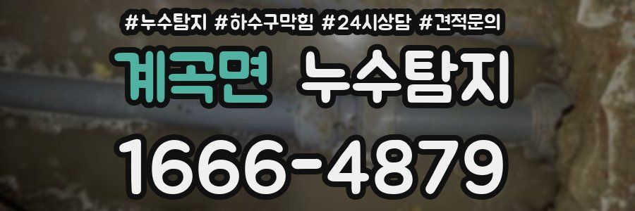 누수탐지