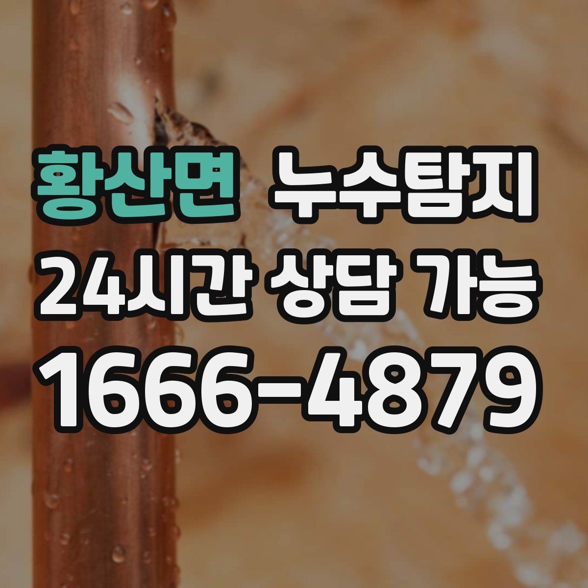 황산면 누수탐지 타일 틈새 점검으로 찾은 누수