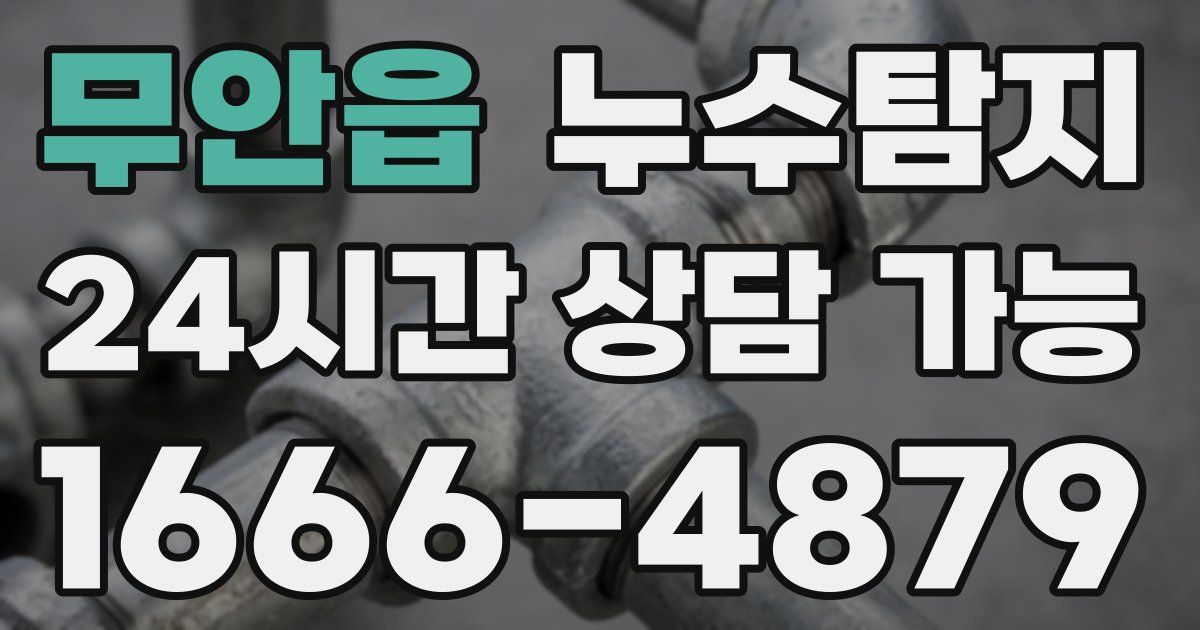 무안읍 누수