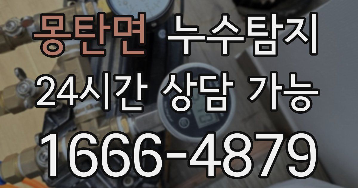 몽탄면 누수