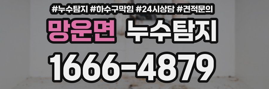 누수탐지