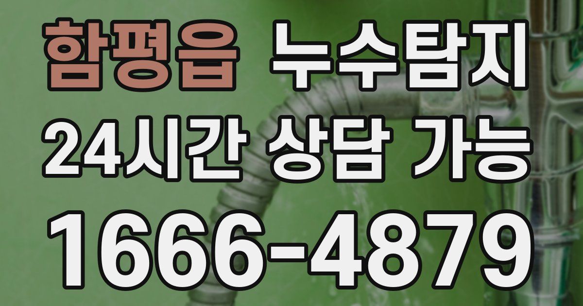 함평읍 누수