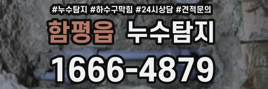 누수탐지