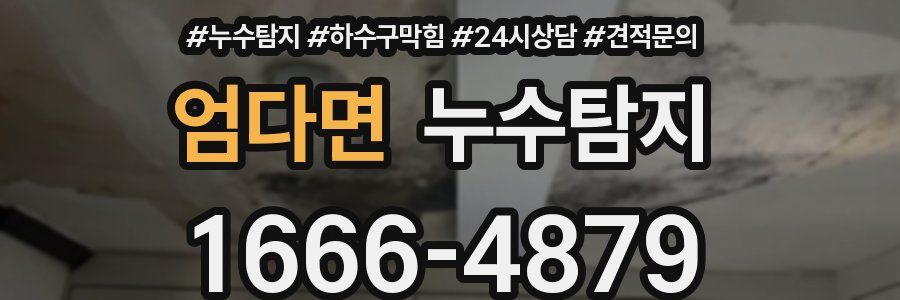 누수탐지
